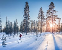 Panoramic view of man cross-country skiing in a snow-covered forest.