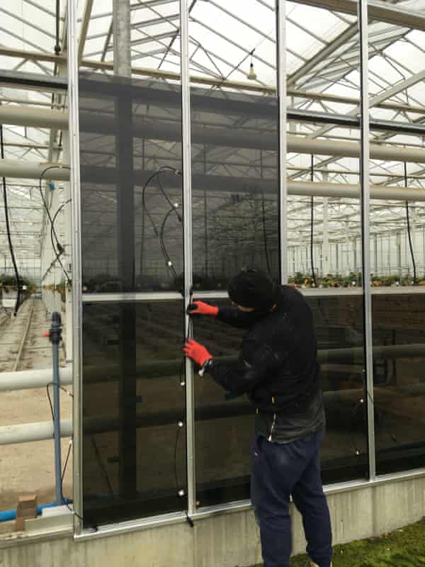 Photovoltaic panels being retrofitted to the greenhouses.