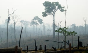 Deforested land in the Brazilian Amazon