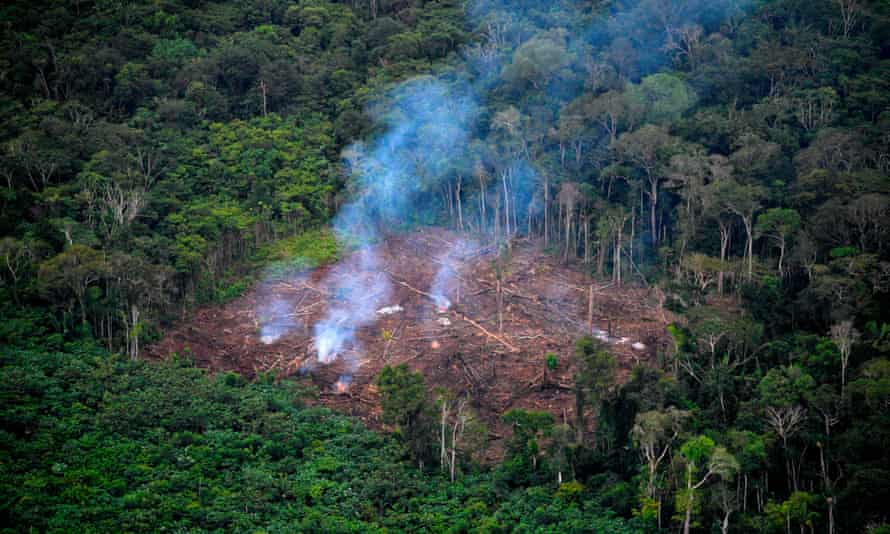 Colombia's deforestation was the most killed in 2020 in an attempt to protect forests, rivers and ecosystems.