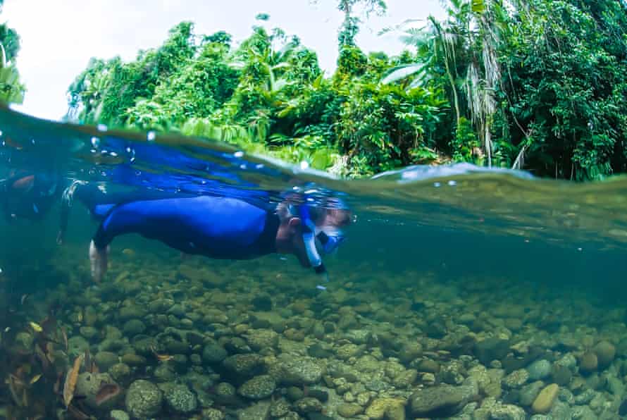 Freshwater snorkeling at Daintree, North Queensland, Queensland, Australia.