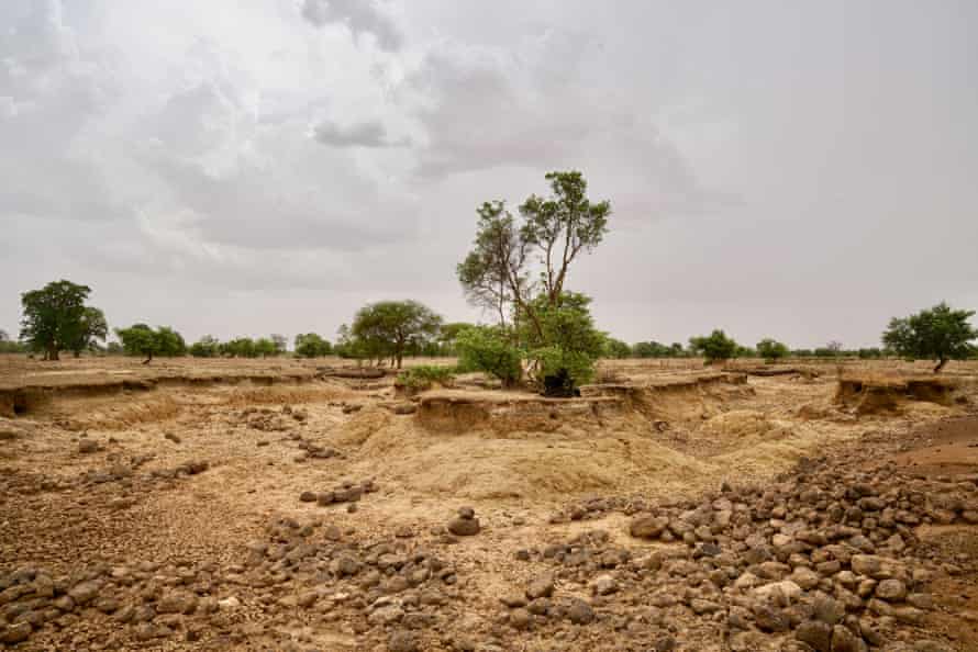 ‘We just pray for rain’: Niger is in the eye of the climate crisis – and children are starving 3 A dry riverbed near Kaya in northern Burkina Faso.