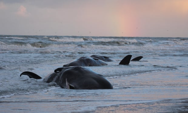 500 times more plastic in the ocean than stars in the Galaxy – its time to think about Plastic pollution