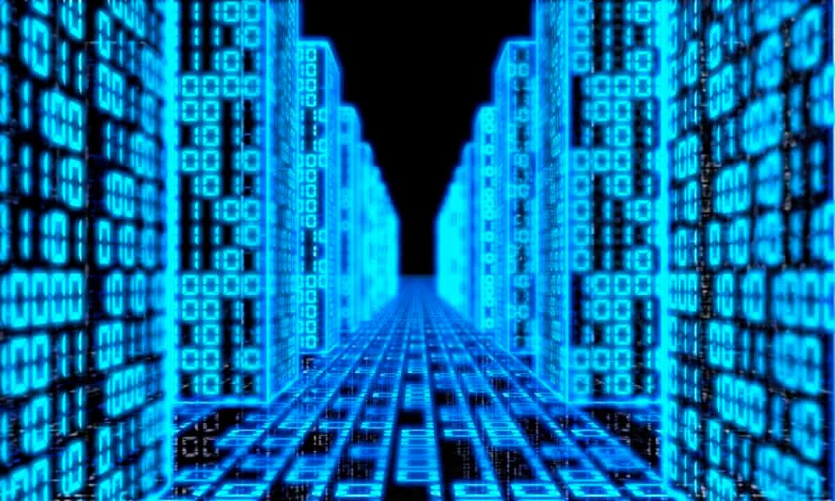 A binary vortex