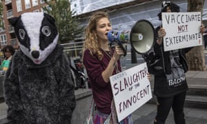 Animal rights activists draw attention to the badger culls outside the Home Office last week.