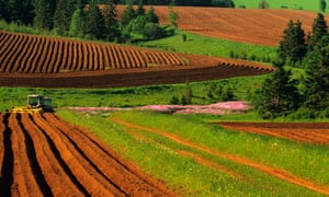 Potato fields in Prince Edward Island