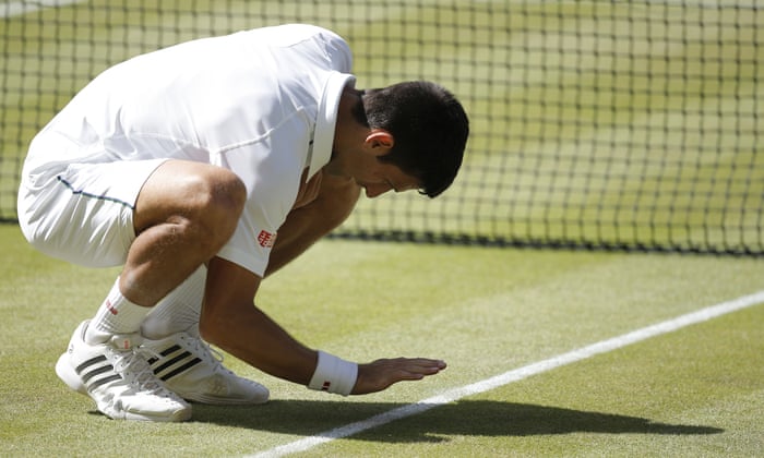 Novak Djokovic pats the centre court grass after his rather inevitable win against a talented Gasquet