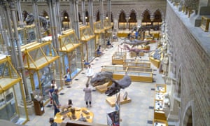 DinosaurGalleryOxfordNaturalHistoryMuseum