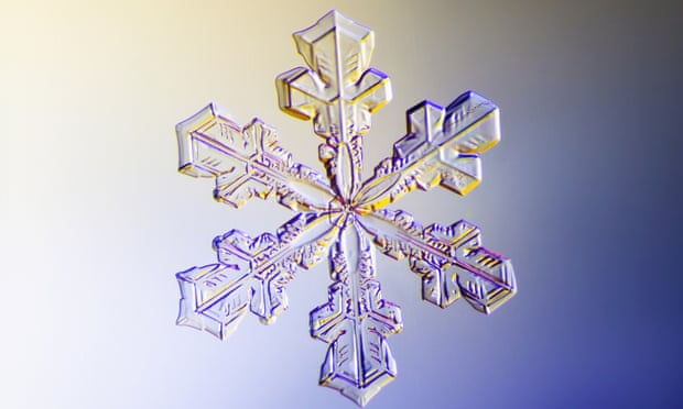 a snowflake photographed under a microscope.