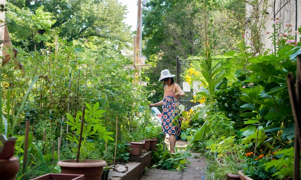 Stefani Mar weeds the vegetable beads at El Sol Brillante Jr Garden on East 12th street in the East Village.