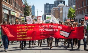 Protesters in Montreal  campaigning against genetically modified organisms and Monsanto
