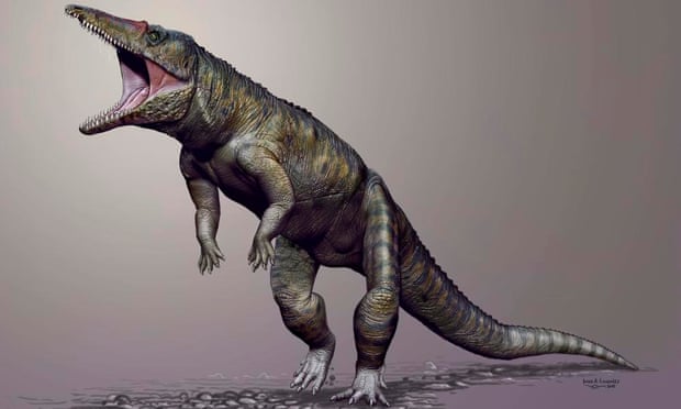 Pesquisa revela que dinossauro T-rex andava, não corria