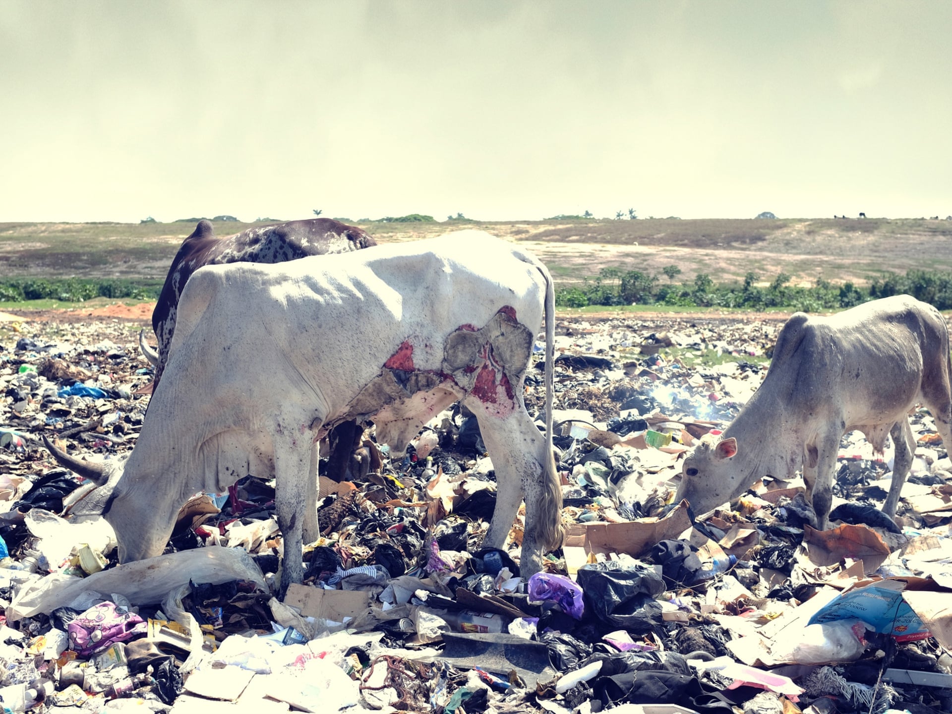 external image ad19504e-599f-4c0e-9ba8-8fc492e8dbc1-2048x1536.jpeg