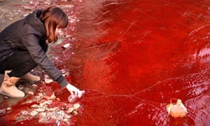 Onesnažena kitajska reka; Fotografija: China Daily/Reuters