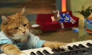 Keyboard Cat.