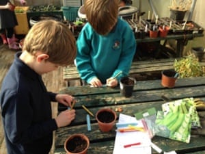 Pupils labelling their plants