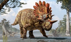An artist’s reconstruction of the new horned dinosaur <em>Regaliceratops peterhewsi.</em>