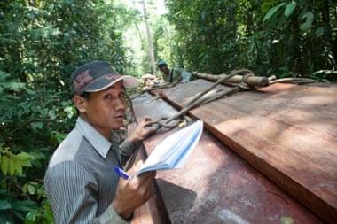 A member of the Prey Lang Community Network documents a consignment of illegally-logged timber in Prey Lang forest, Cambodia, on 23 April. 