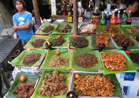 insects for food