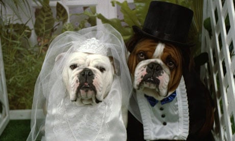 Canine wedding