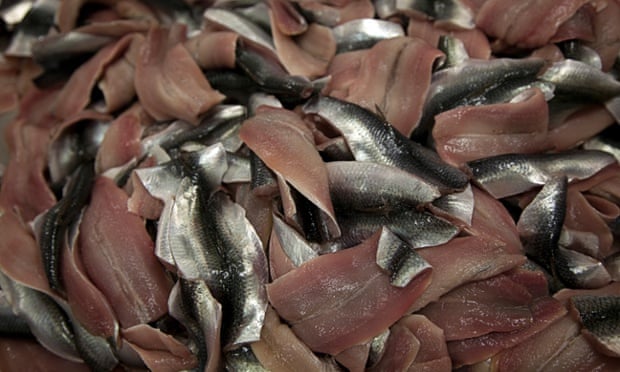 danish of the   recipe herrings: herring red Life   Here the  be and silver darlings style return