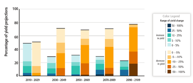 Summary of projected changes in crop yields, due to climate change over the 21st century. Yellow indicates studies that project crop yield decreases, blue indicates studies projecting increases.