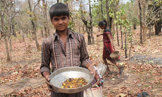 Indian forest villagers rise up to halt UK firms bid to clear.