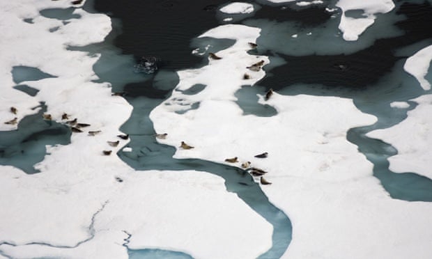Арктика у небезпеці