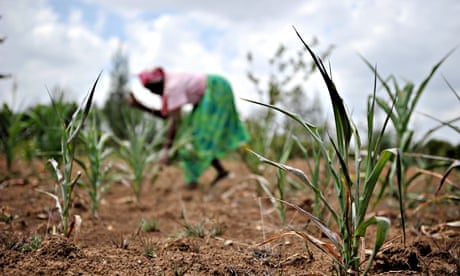 Rural farmer