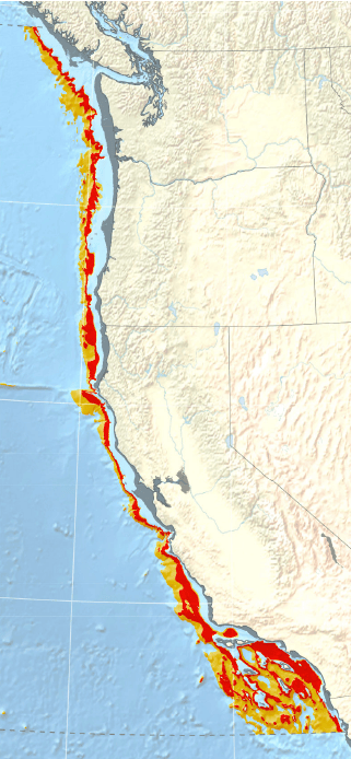 Visualization of the extent of low-oxygen seafloor at 14,000 years ago mid-way through the deglaciation. The gray shading along the coastline is the paleoshoreline, or rather where the shoreline would been when sea level was 85 meters lower than today. Red seafloor is associated with severe hypoxia and orange seafloor is associated with intermediate hypoxia.