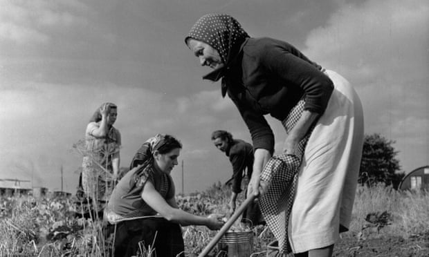 A group of Polish immigrants working at a farm in Gloucestershire, 1955