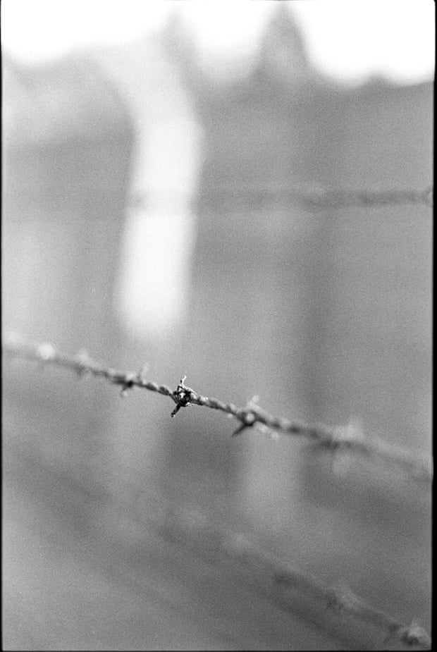Barbed wire at Auschwitz concentration camp.