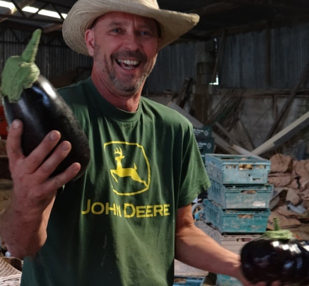 Nathan Richards at Troed y Rhiw farm is an expert aubergine grower.