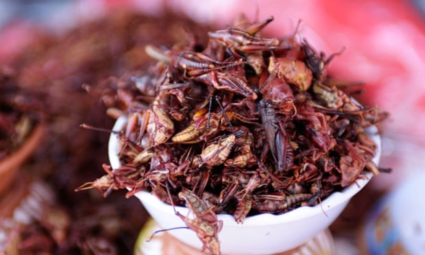 Grasshoppers fried in chillis. But what vintage should you go for?