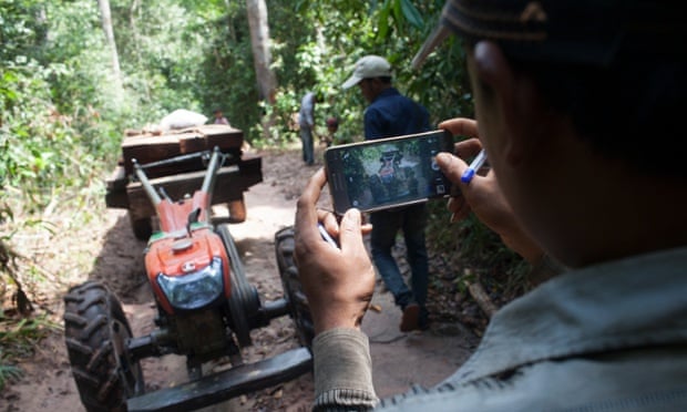 Activists document and inspect a consignment of illegally logged timber in Prey Lang forest, Cambodia, on 23 April 2015. 
