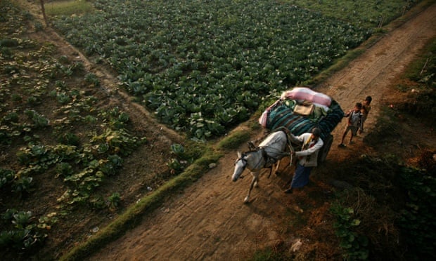 Indian farmer