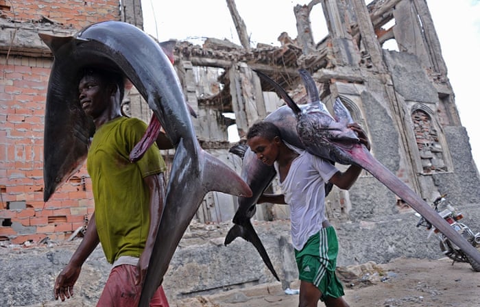 Hamarweyne, Somalia Porters carry the carcasses of a shark and a marlin to the local market