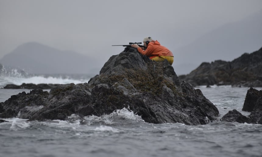 Peter Williams on the hunt for sea otters.
