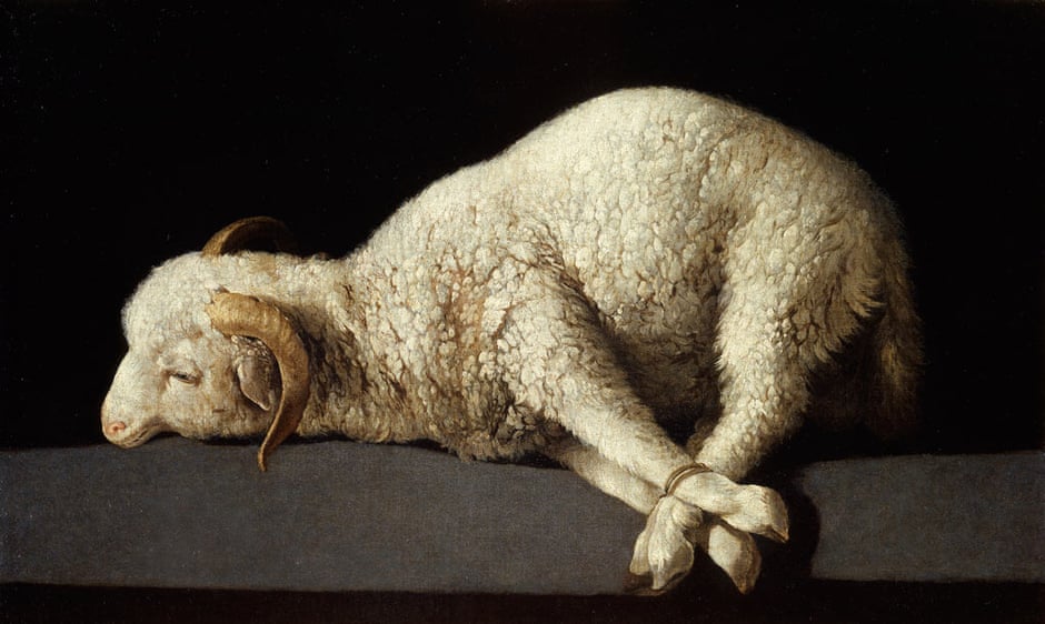 Francisco de Zurbarán's Agnus Dei - a still life of a trussed up lamb