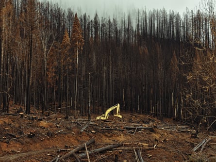 A dozer clears the burnt areas of the Holiday Farm fire near Blue River, Oregon, on Friday.