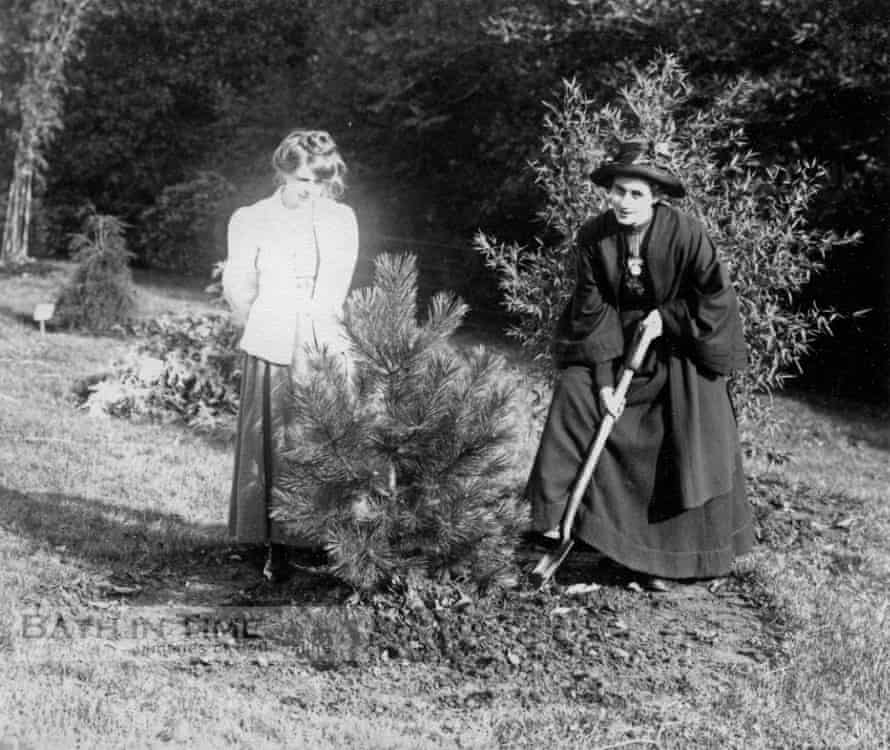 Legacy of a lost pine: the suffragettes’ tree inspiring a new generation 1 Suffragettes Rose Lamartine Yates and Annie Kenney plating the Batheaston pine in 1909. The picture is part of a unique collection of glass plate negatives taken by Col Linley Blathwayt of Eagle House, Batheaston, a refuge for suffragettes between 1908 and 1912.