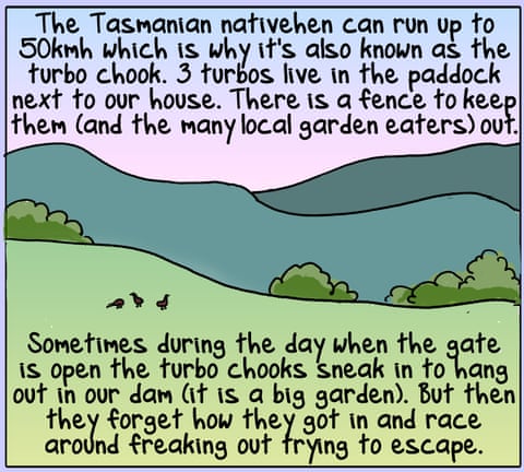 First dog on the Moon cartoon embed, panel 2