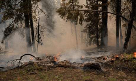 The Bootleg fire burns through vegetation near Paisley, Oregon.