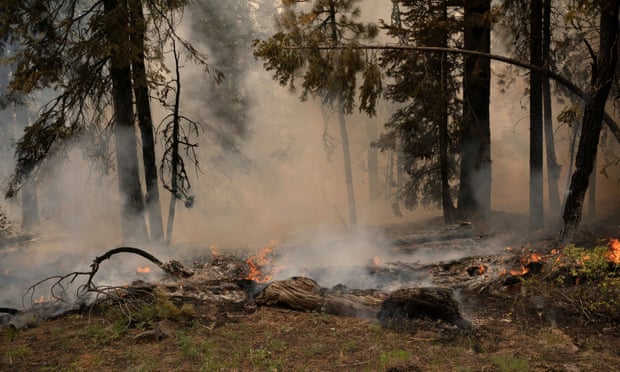 The Bootleg fire burns through vegetation near Paisley, Oregon. 