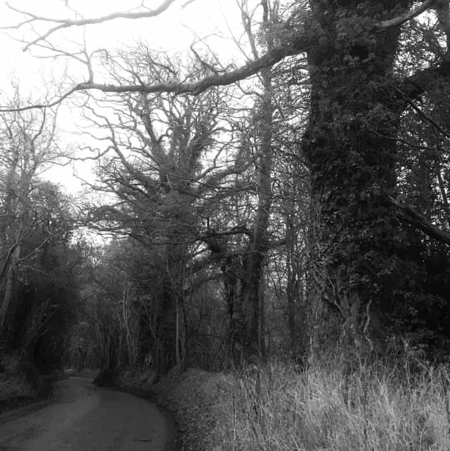 Devil’s Arch, Inkpen, North Wessex Downs.