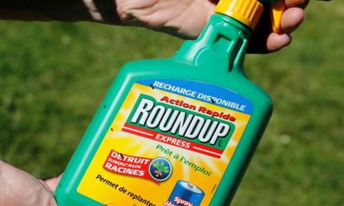 Australia's agriculture minister says Roundup is safe after ...