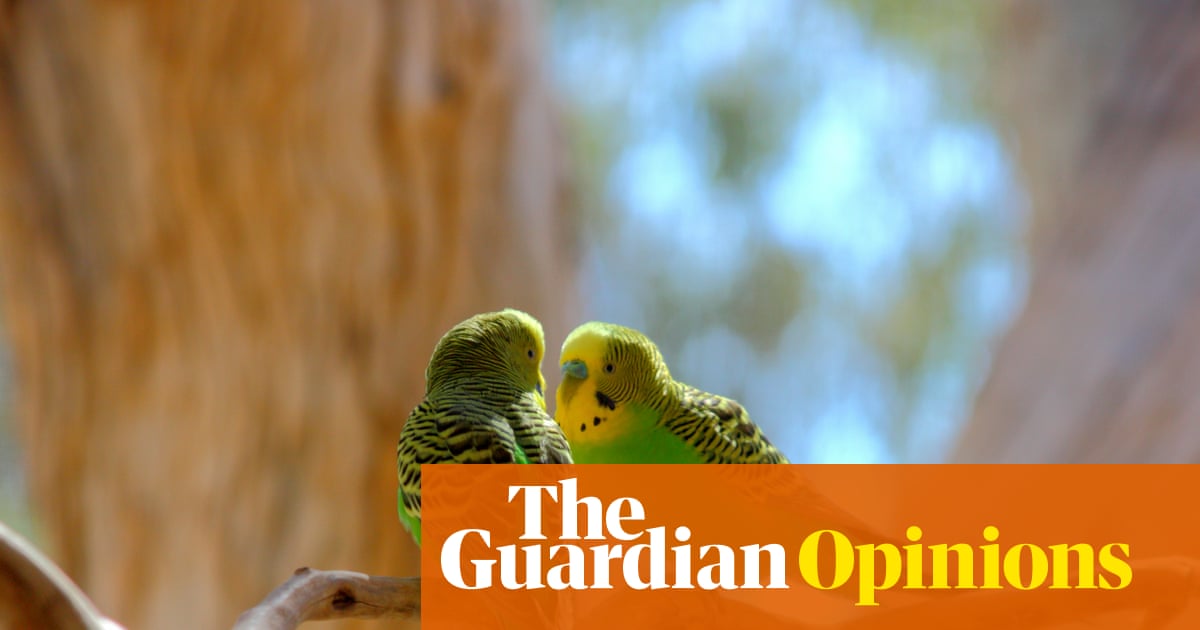 From Karachi’s Crowded Markets and Kabul’s Alleys to Australia’s Va...