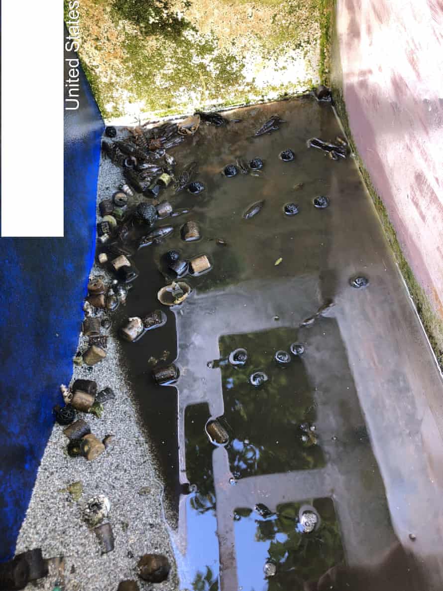 A glass aquarium, one side coated in algae, holds some sand, a few inches of muddy water and several crayfish.