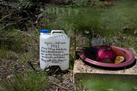 A large white plastic tub of water next to a dish
