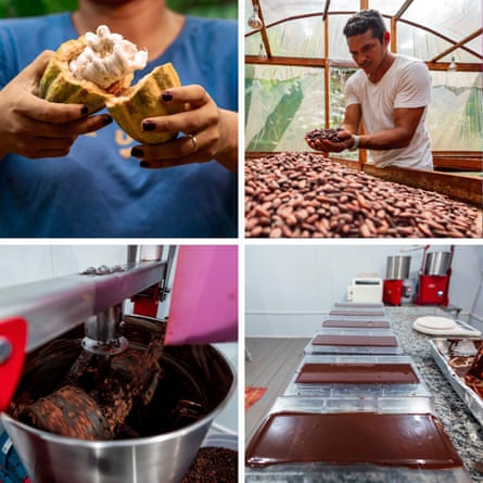 Sağdan sola, yukarıdan aşağıya çikolata üretiminin aşamaları: Izabela Campos kakao kabuğunu açıyor, Zeno Gemaque kakao çekirdeklerini ayıklıyor, çekirdekler eziliyor ve son ürün soğutuluyor.